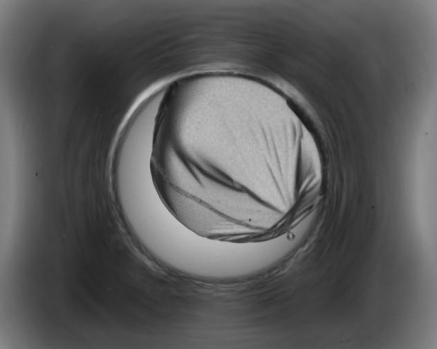 X0000086231230200704261850