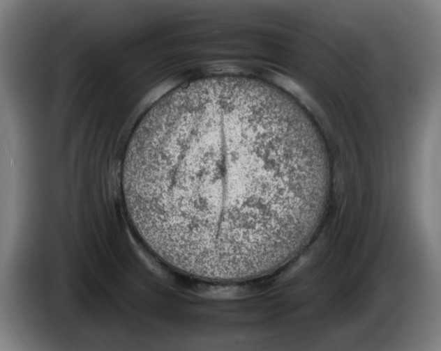 X0000086231233200704261850