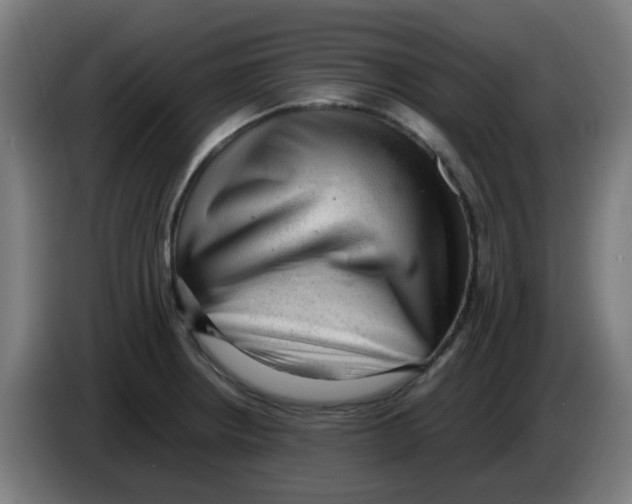 X0000086231234200704261850