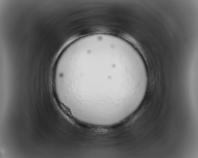 X0000086231235200704261850