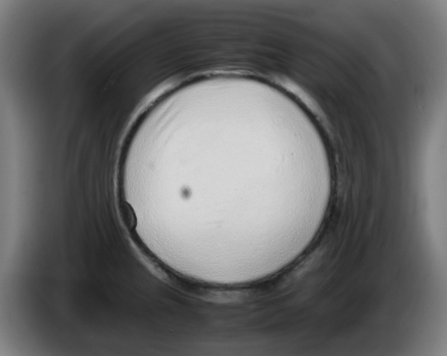 X0000086231237200704261850