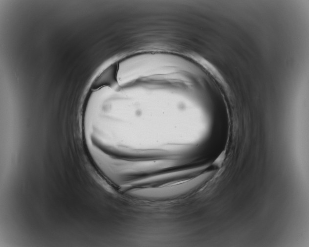 X0000086231238200704261850