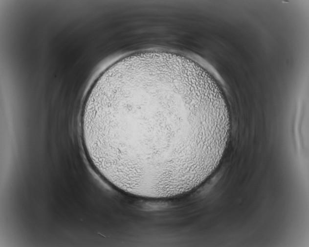 X0000086231239200704261850