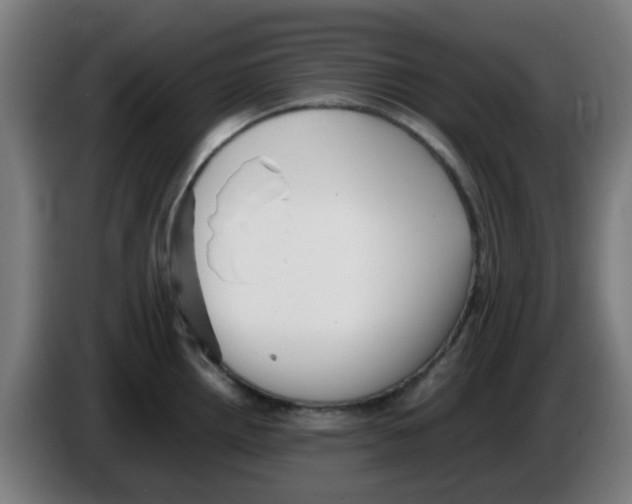 X0000086231242200704261850