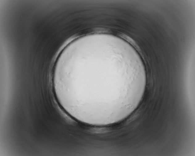 X0000086231243200704261850