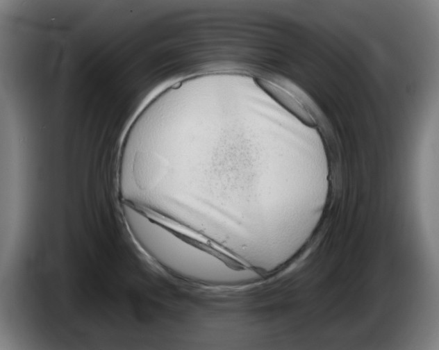 X0000086231244200704261850