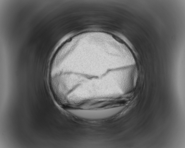 X0000086231245200704261850