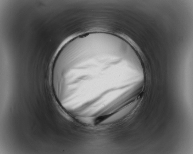 X0000086231246200704261850