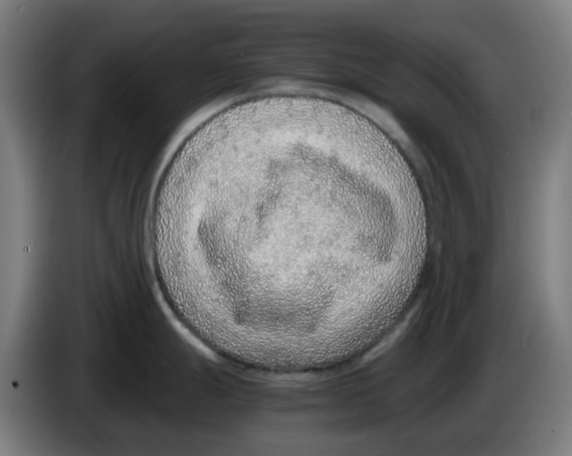 X0000086231247200704261850