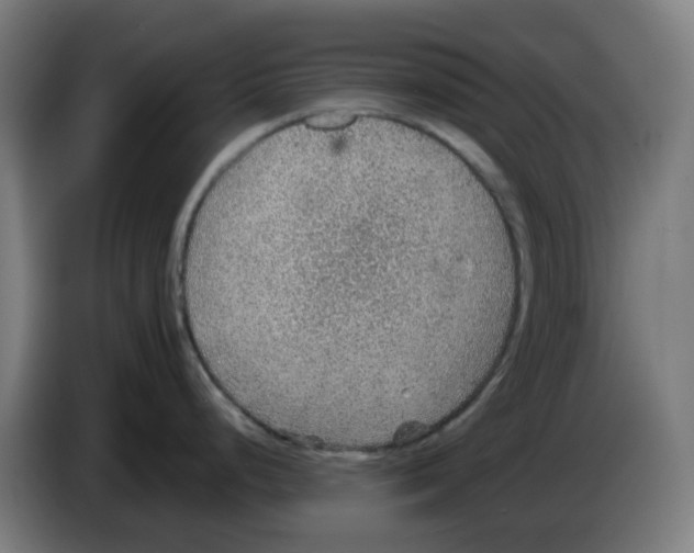 X0000086231248200704261850