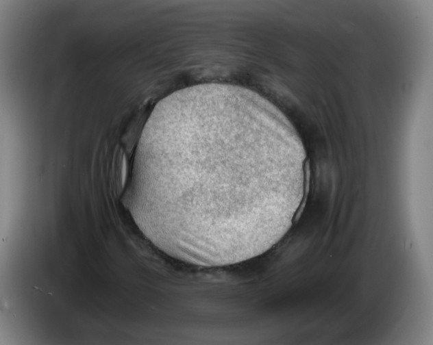 X0000086231250200704261849