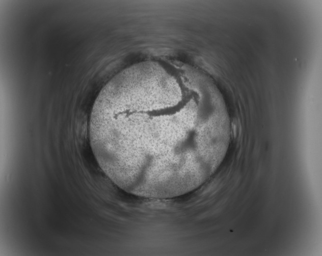 X0000086231251200704261849