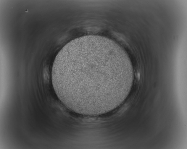 X0000086231252200704261849