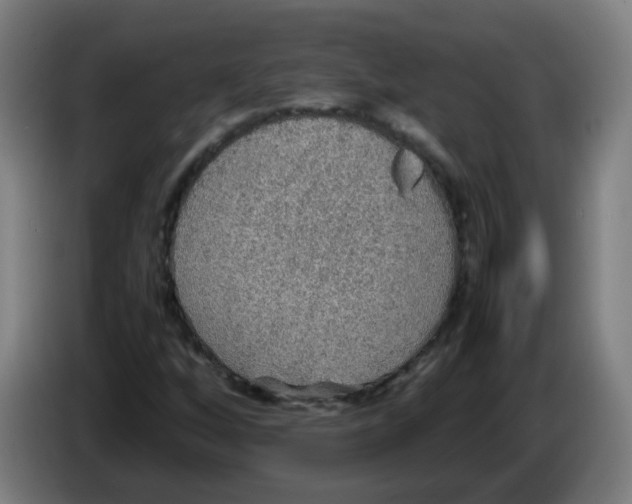 X0000086231256200704261849