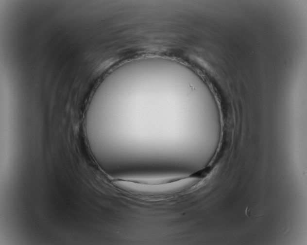 X0000086231257200704261849