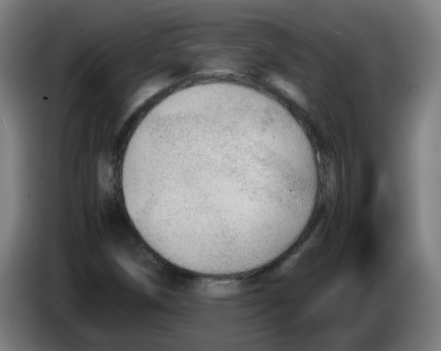 X0000086231258200704261849