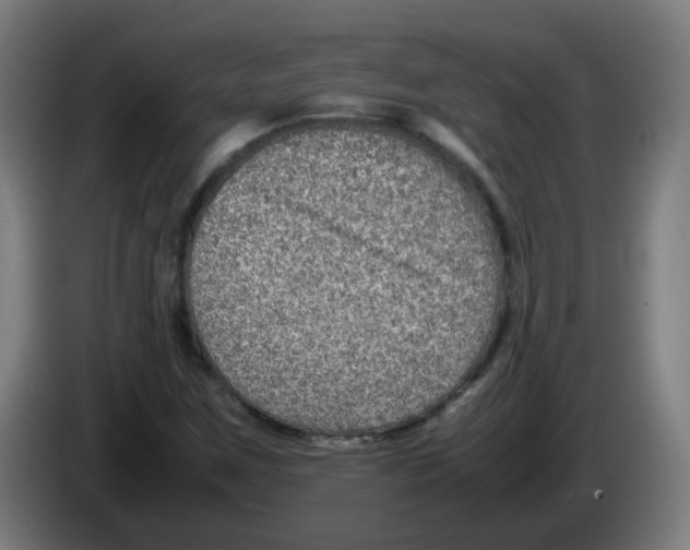 X0000086231259200704261849