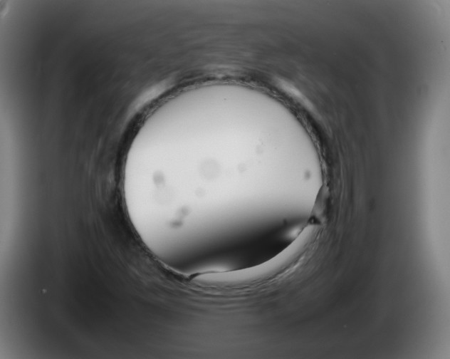 X0000086231261200704261849