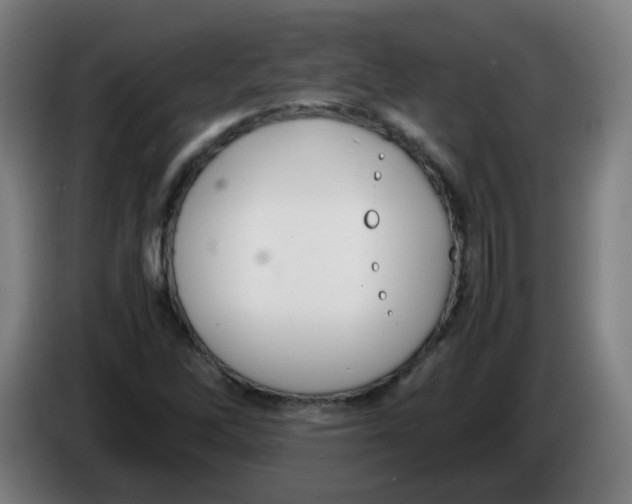 X0000086231262200704261849