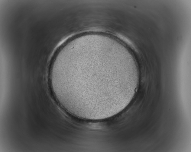 X0000086231264200704261849