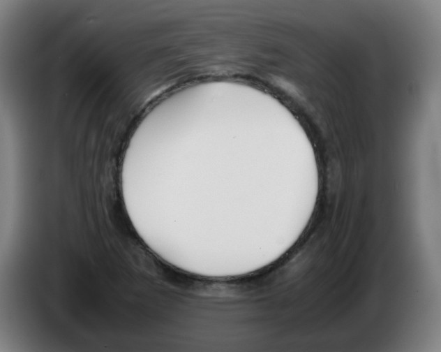 X0000086231265200704261849