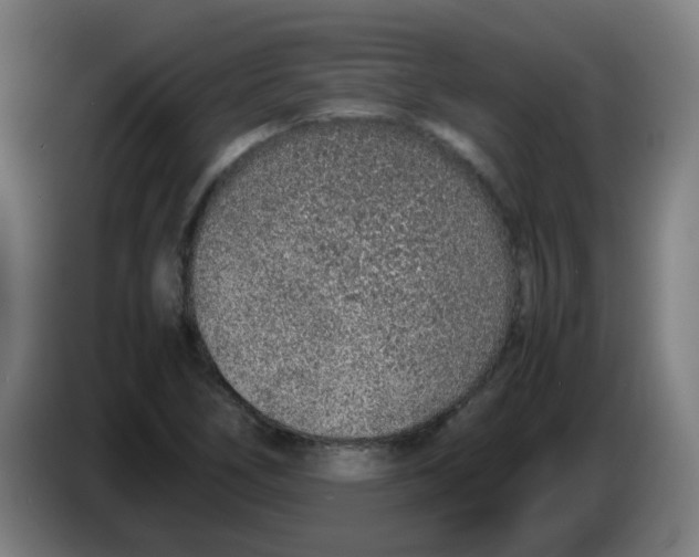 X0000086231266200704261849