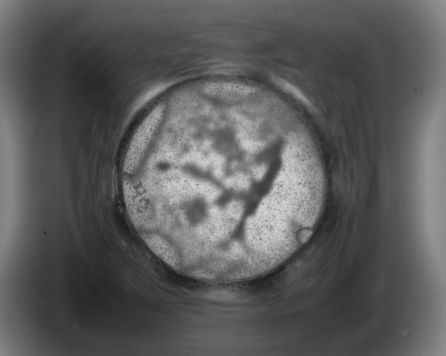 X0000086231267200704261849