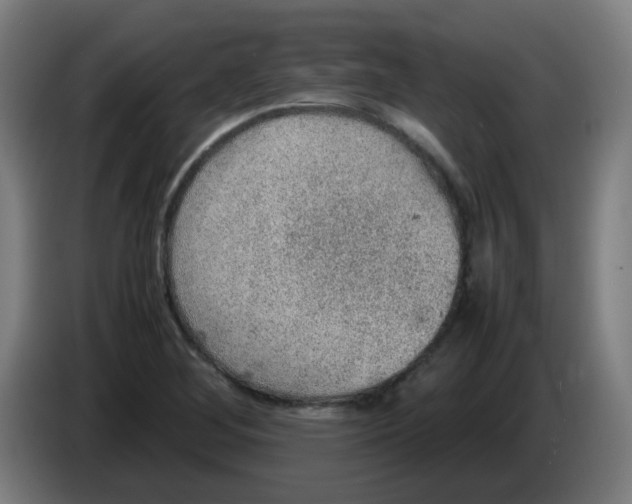 X0000086231268200704261849