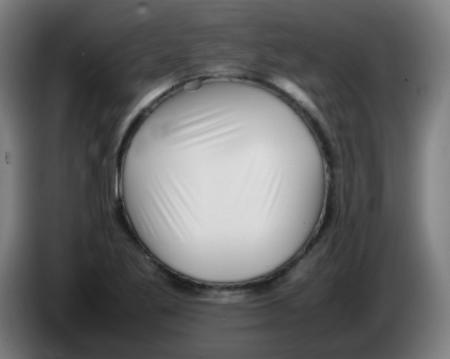 X0000086231269200704261849