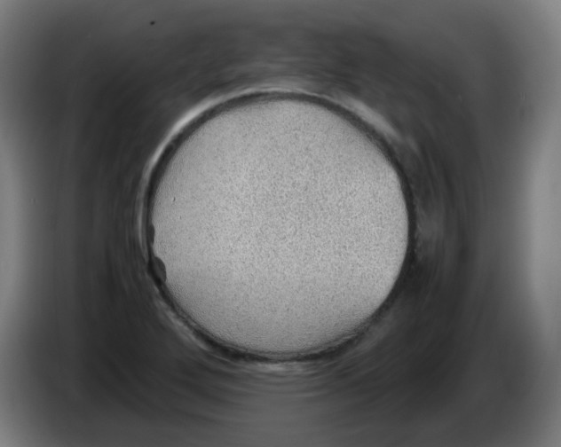 X0000086231272200704261849