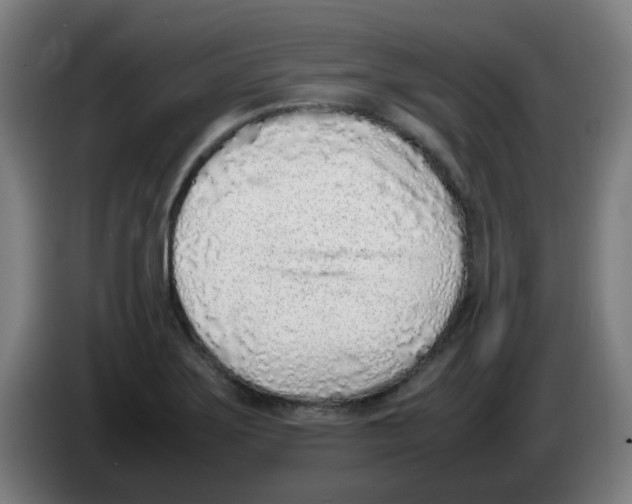 X0000086231275200704261849