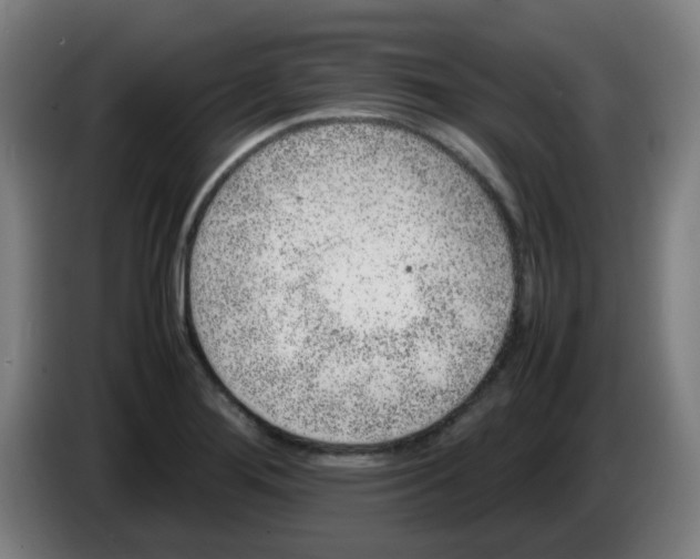 X0000086231276200704261849