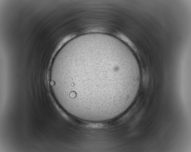 X0000086231282200704261849