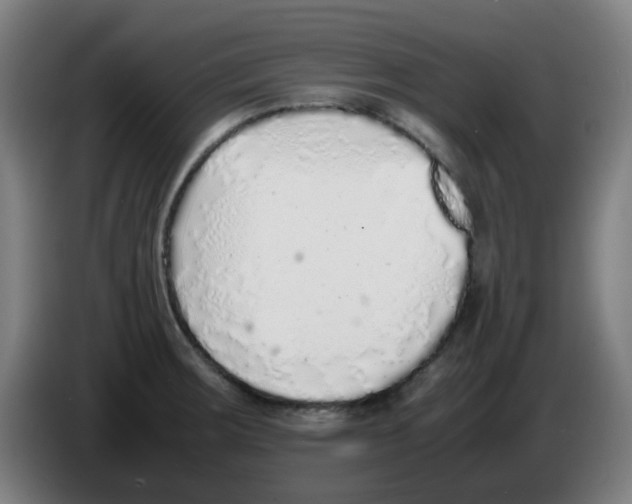 X0000086231283200704261849