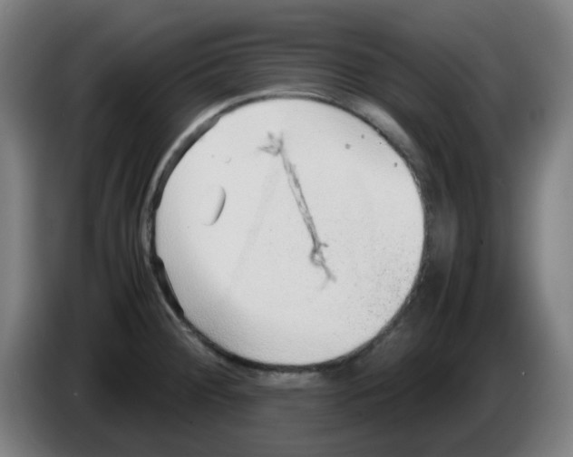 X0000086231284200704261849