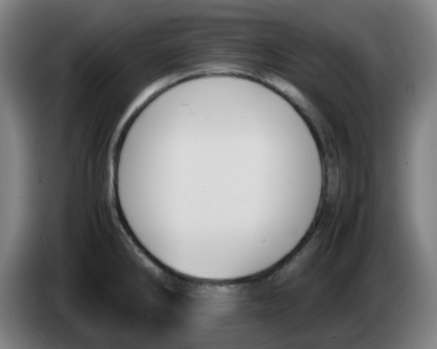 X0000086231286200704261849