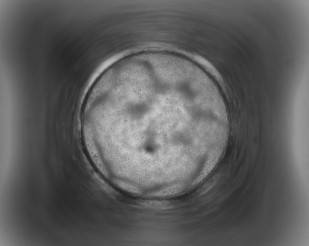 X0000086231287200704261849