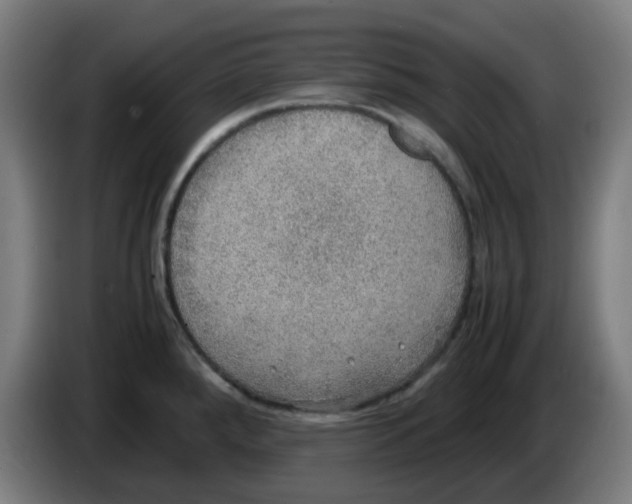 X0000086231288200704261849