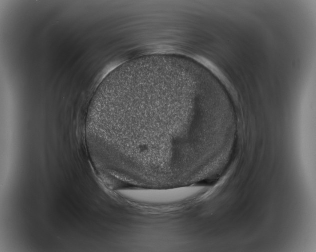 X0000086231289200704261849