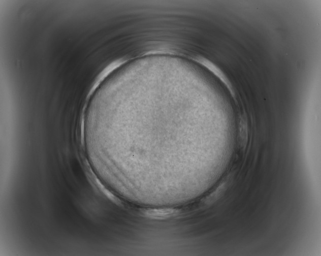 X0000086231290200704261849