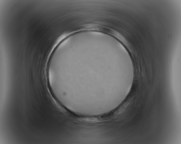 X0000086231291200704261849