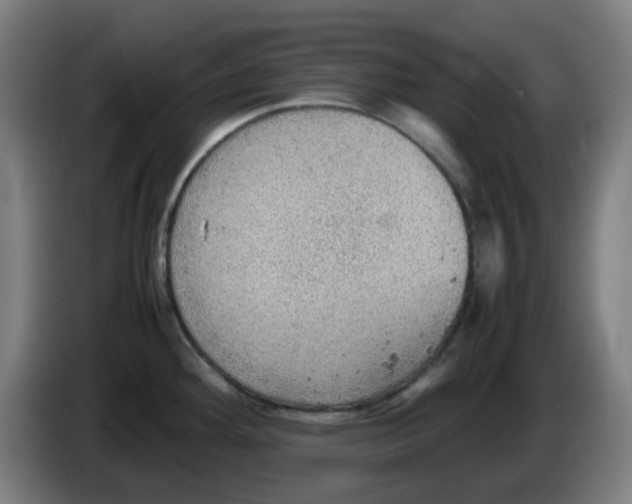 X0000086231292200704261849