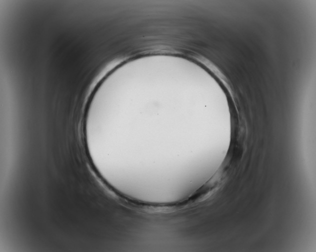 X0000086231293200704261849