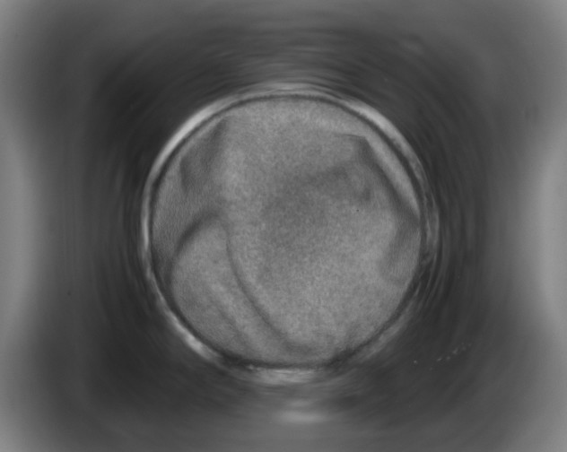 X0000086231294200704261849