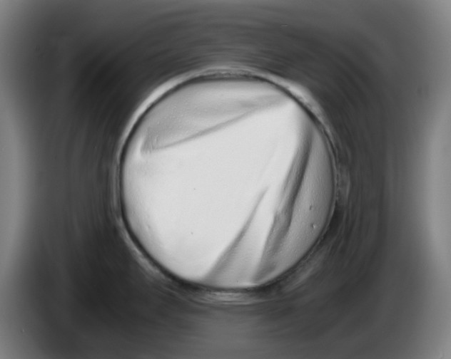 X0000086231295200704261849