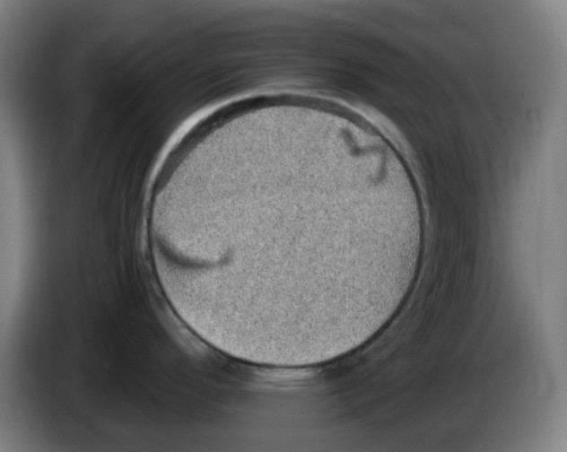 X0000086231296200704261849