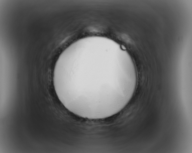 X0000086231301200704261848