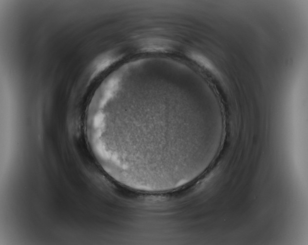 X0000086231306200704261848