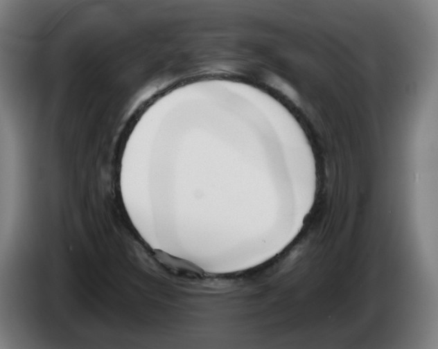 X0000086231308200704261848