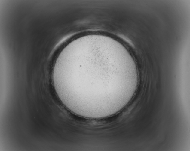 X0000086231311200704261848